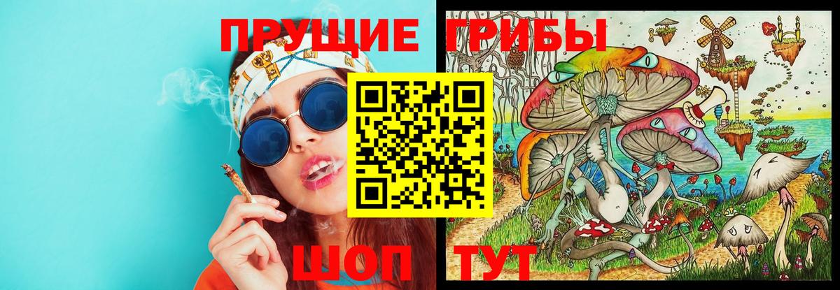 Галлюциногенные грибы MAGIC MUSHROOMS Первоуральск