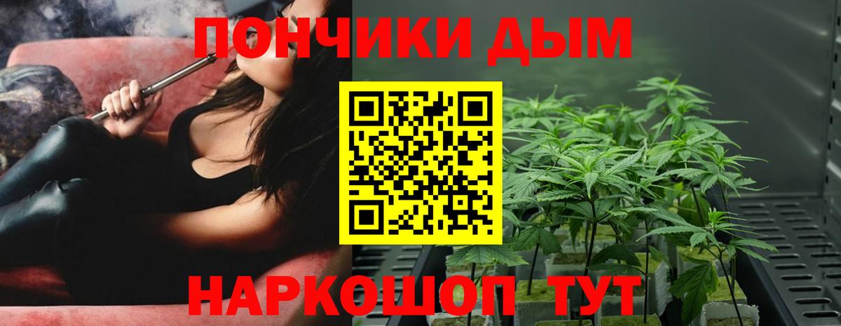 Бошки марихуана сатива Первоуральск